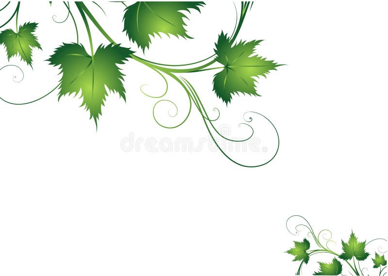 Green leaves