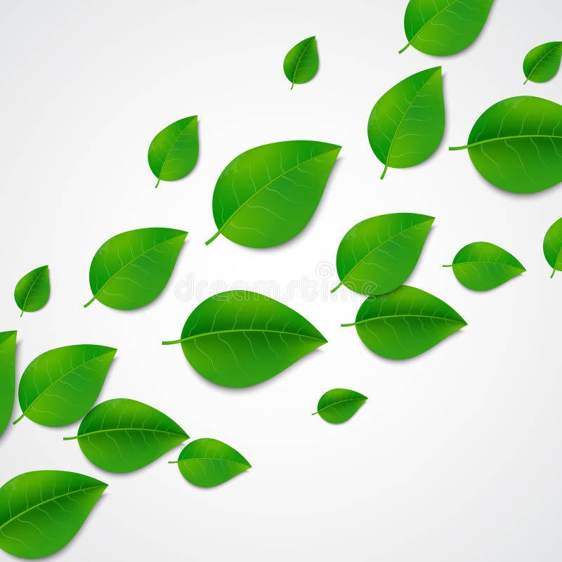 Green leaves background stock vector. Illustration of plant - 40193873