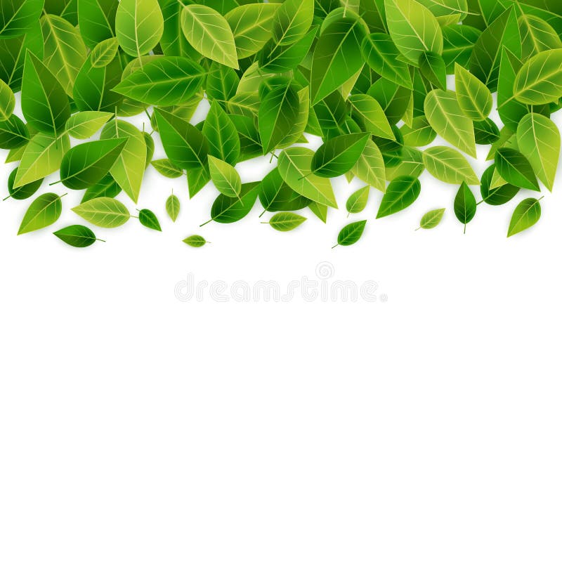 Green Leaves Background, Vector Stock Vector - Illustration of