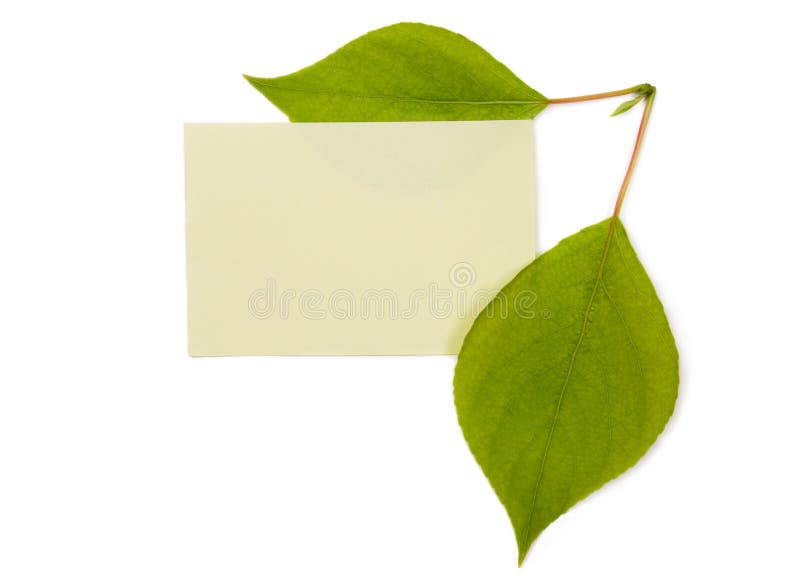 Green leaves with banner