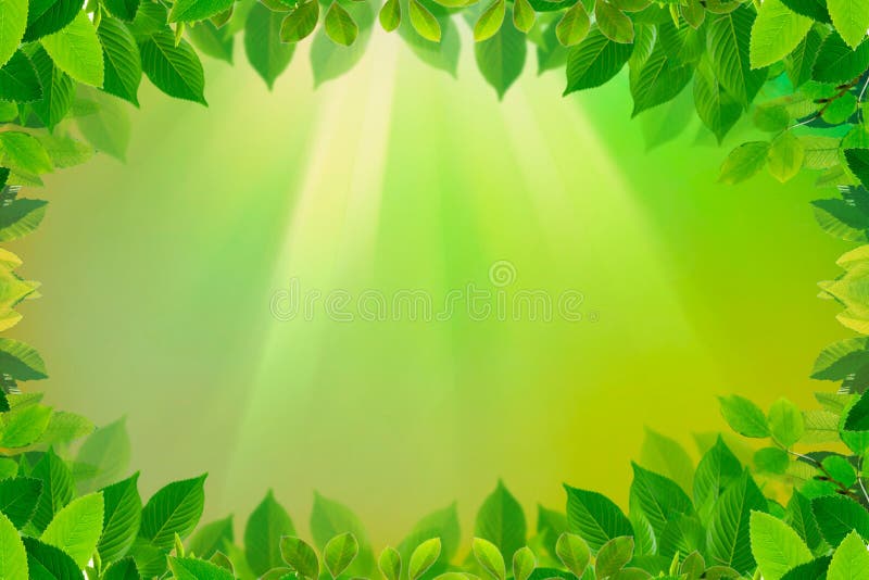 Green Leaves Border On Spring Or Summer Background Stock Illustration