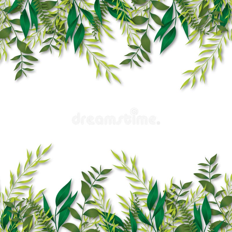 Green Leaves Borders On White Stock Illustration Illustration Of