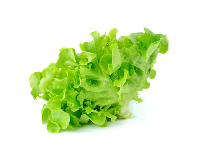 Green leaves lettuce stock image. Image of isolated, green 53896603
