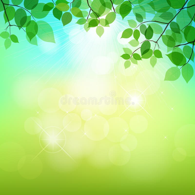Green Leaves Natural Background Royalty Free Stock Photo Image 25941835