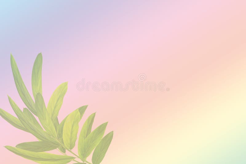 Green Leaves on a Paper Card Stock Illustration Illustration of