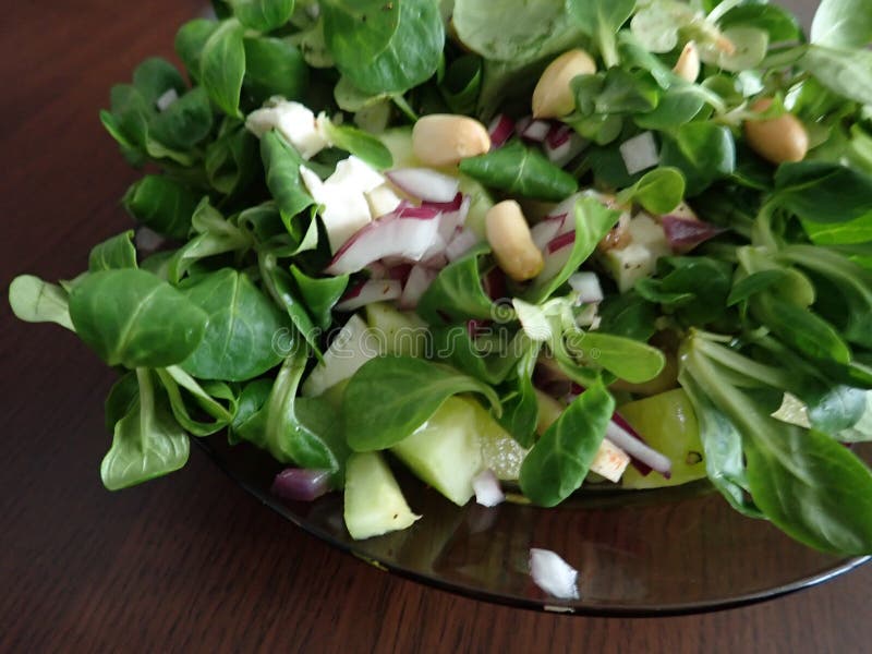 Green Leaves Salad in a Bowl Stock Image Image of foof, plant 207484651