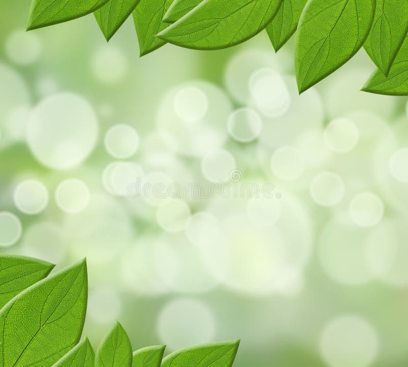 Green leaves stock photo. Image of natural, background - 40308952