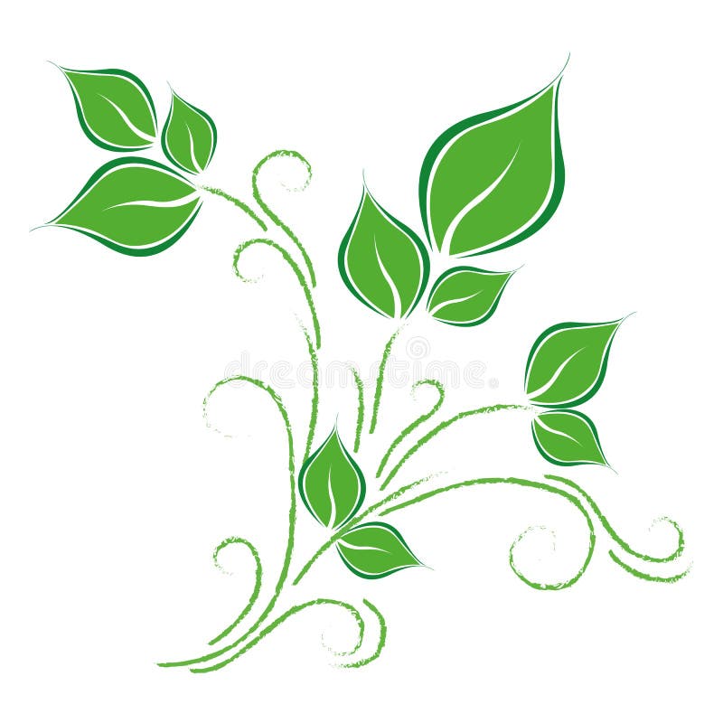 Leaves, spring, tendril stock vector. Illustration of decoration - 33936397