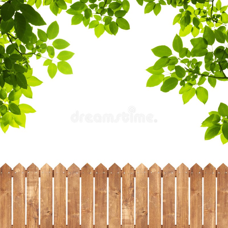 Green leaves with wood fence on white