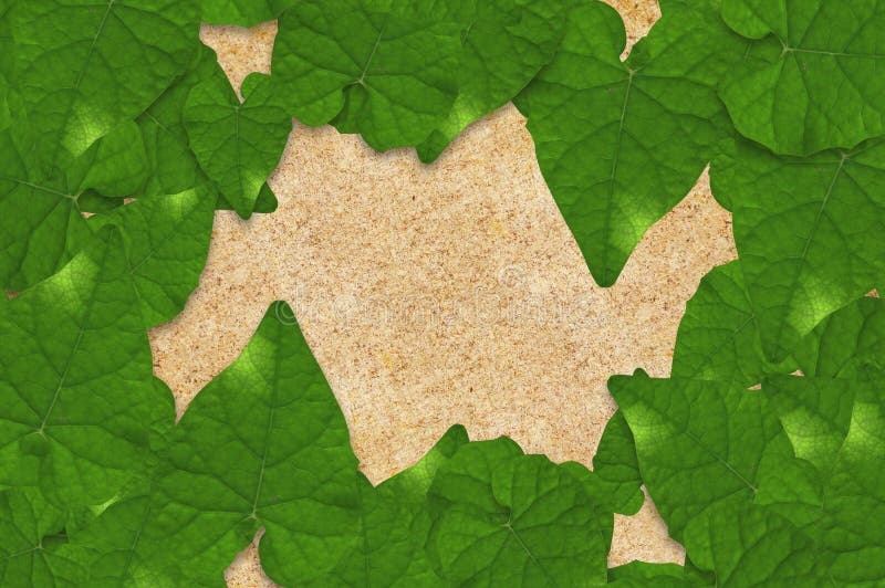 Green Leaves on Wood Floor Background Stock Photo Image of leaf