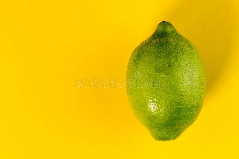 Green lemon of Siracusa, Sicilia, Italy, femminello variety, isolated on yellow background, copy space. Green lemon of Siracusa, Sicilia, Italy, femminello variety, isolated on yellow background, copy space