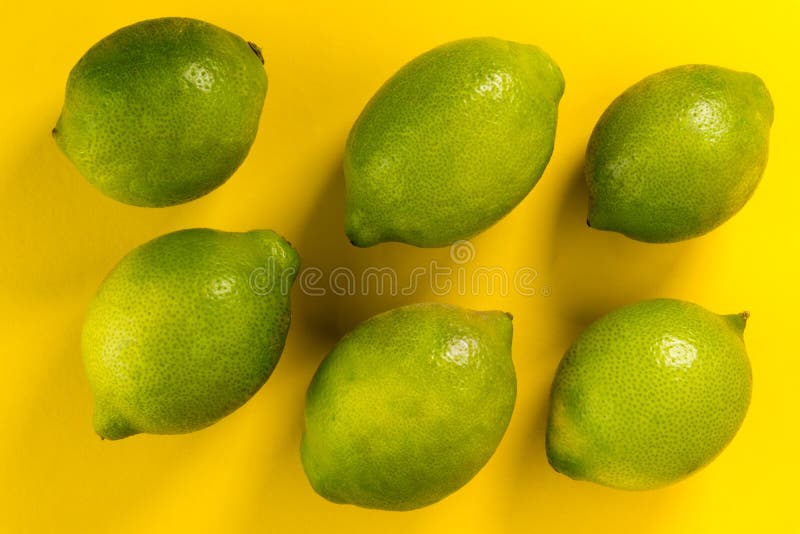 Green lemons of Siracusa, Sicilia, Italy, femminello variety, six fruits isolated on yellow background. Green lemons of Siracusa, Sicilia, Italy, femminello variety, six fruits isolated on yellow background