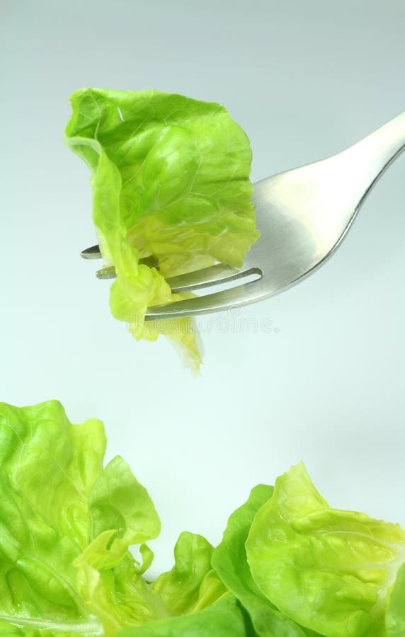 Green lettuce