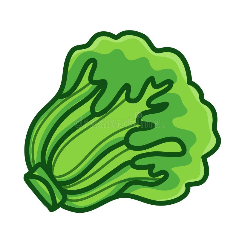 Green Lettuce Cartoon Isolated Illustration Stock Vector Illustration