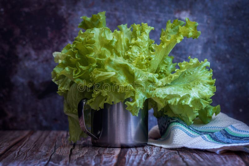 Green Lettuce in an Iron Mug, Low Key, Tinted Stock Photo Image of