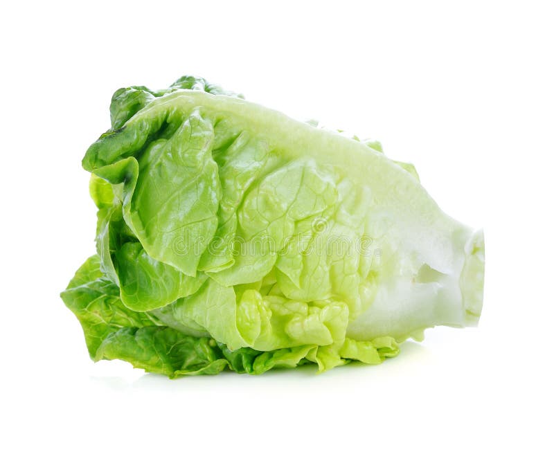 Green lettuce stock image. Image of healthy, fiber, vegan 58546017