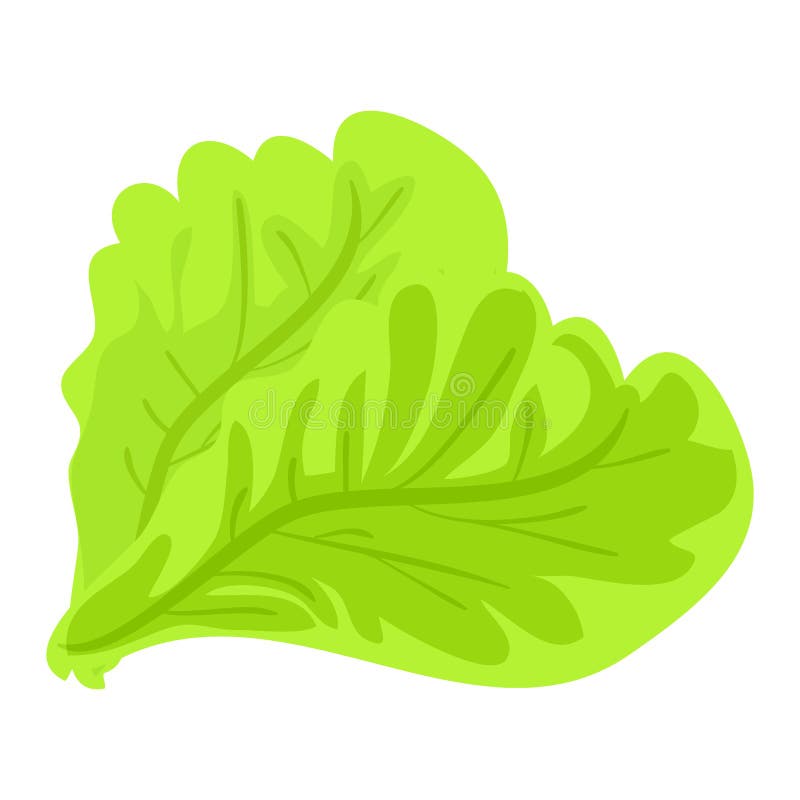 Green Lettuce Leaf Icon, Cartoon Style Stock Vector Illustration of