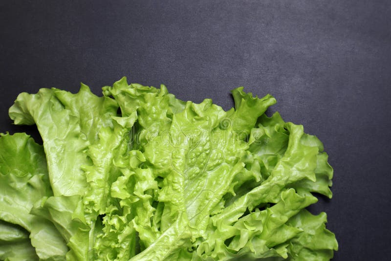 Green Lettuce Leaves. Vegetables on a Black Textured Background Stock Photo Image of iceberg