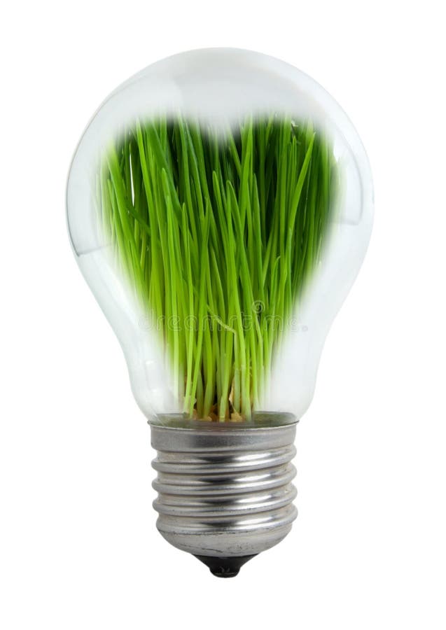 Light Bulb with Green Grass Inside Stock Photo Image of lawn, close