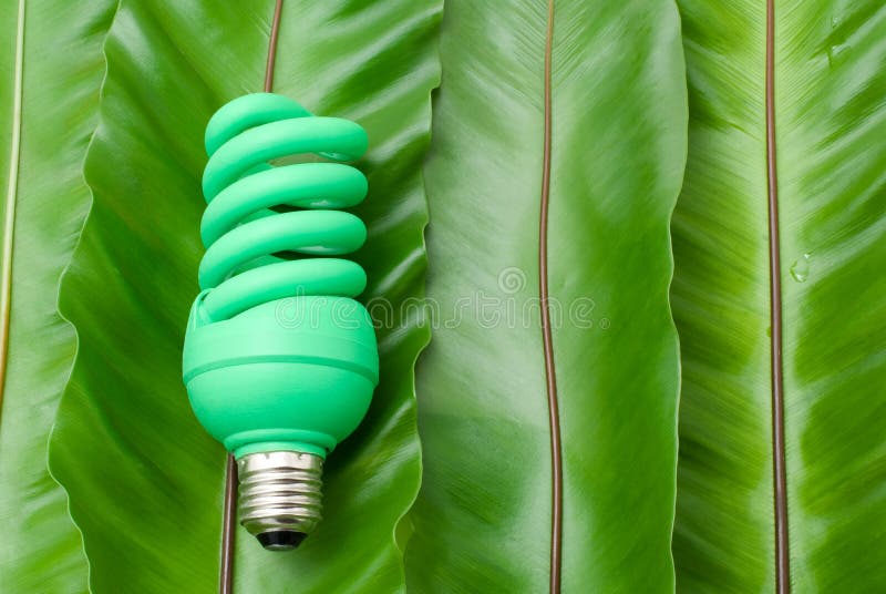 Green light bulb stock photo. Image of lamp, leaf, electric 23459622