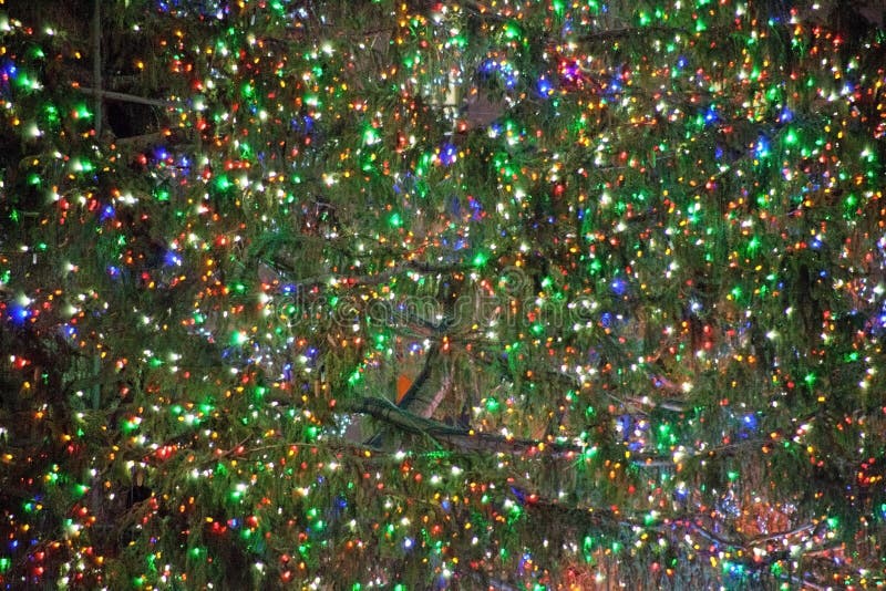 Green lights on a tree stock image. Image of lights 236184581