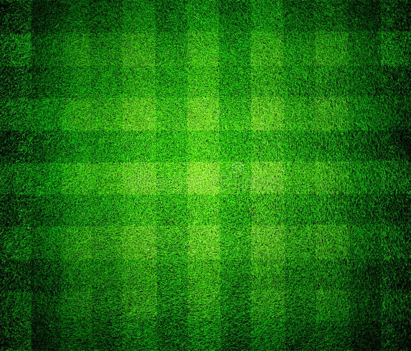 Green lined field