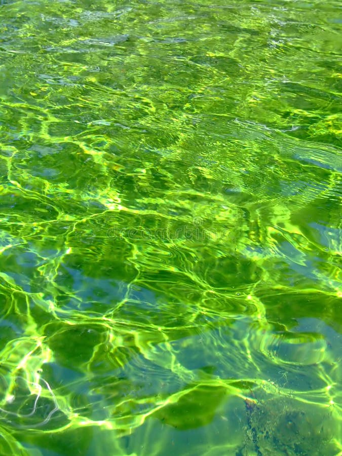Green liquid stock photo. Image of lake, background, wallpaper - 898202