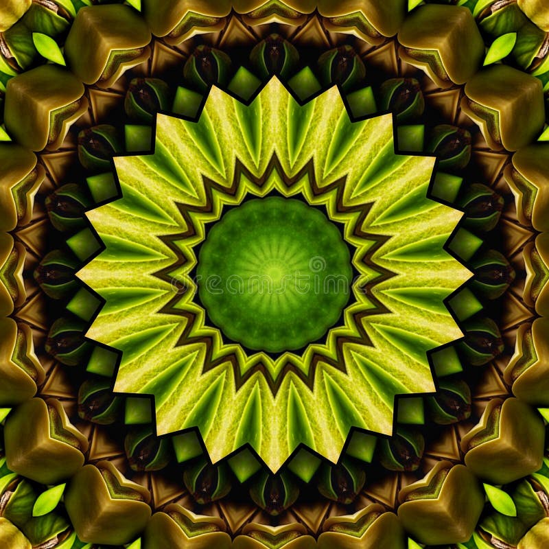 Green Mandala Kaleidoscope with Intricate Geometric Patterns stock illustration