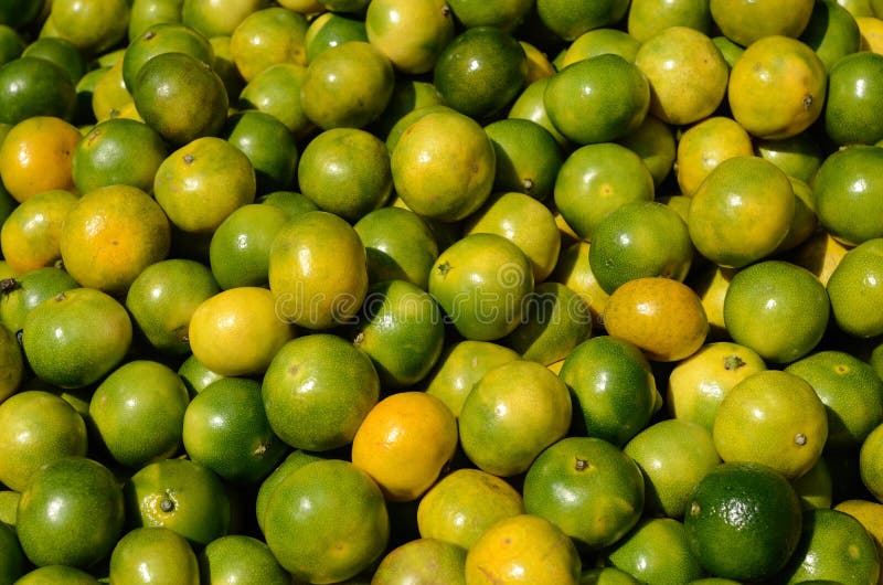Green Mandarin Orange Fruit In The Market Stock Photo Image of sweet