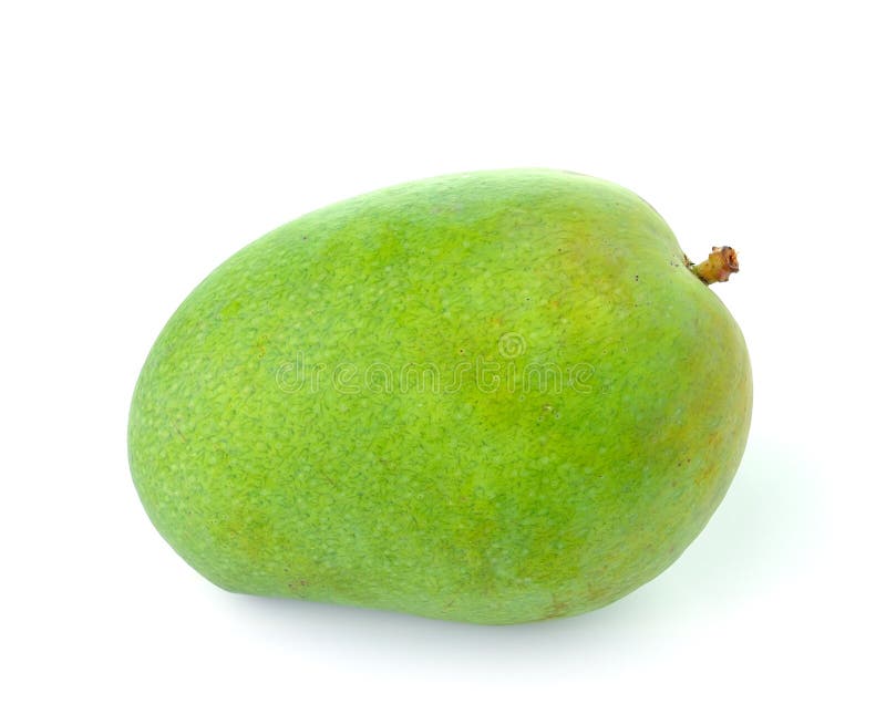Green Mango Isolated on White Background Stock Photo Image of fresh