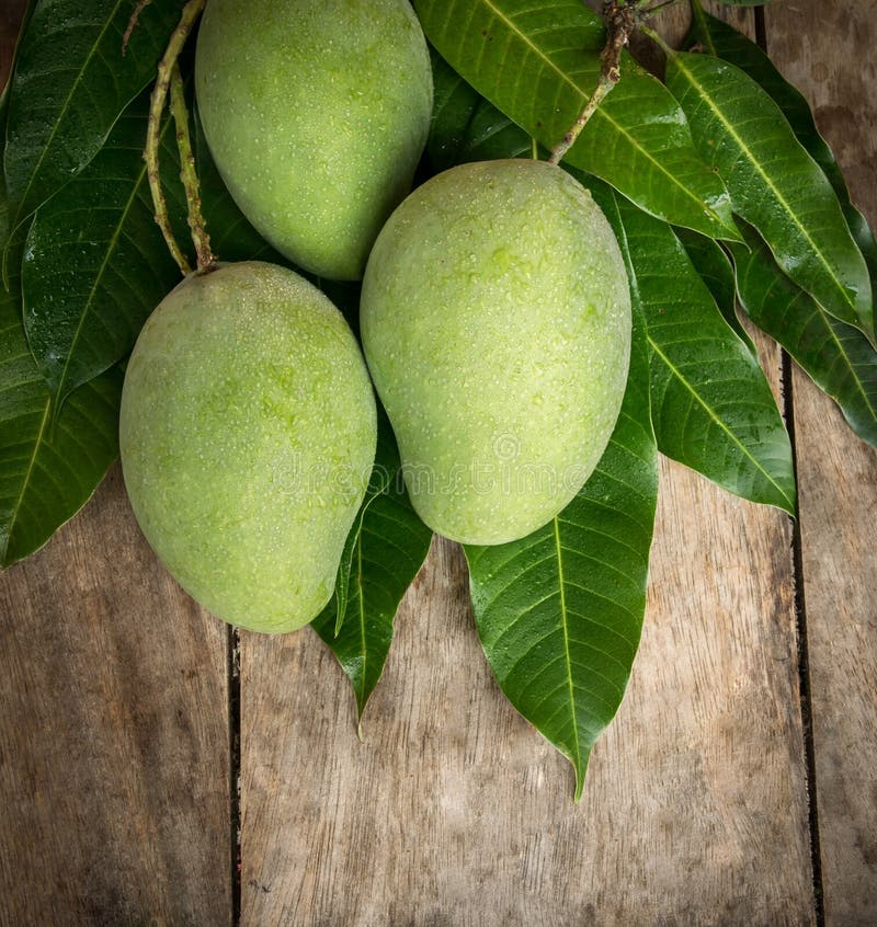 Mango wood texture stock image. Image of material, macro 20410013