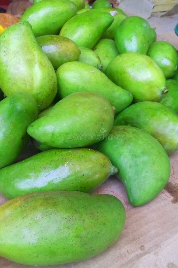 Green Mangoes for Sale in Mexico Stock Image Image of fruit, mexico