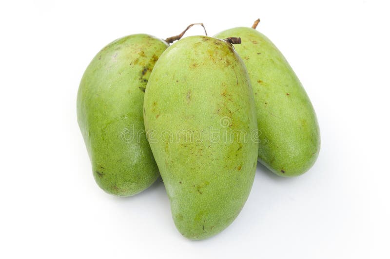 Green mango stock image. Image of aroma, green, gourmet 23737759
