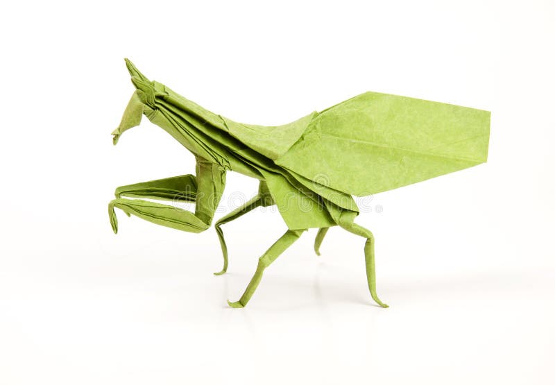 Green mantis origami stock photo. Image of origami, green - 15321692