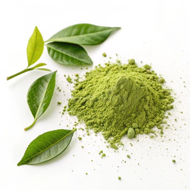 Green Matcha Proszek z wyizolowanymi liśćmi herbaty royalty ilustracja