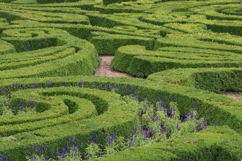 Green maze stock photos