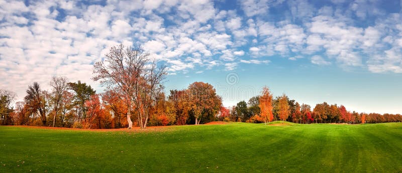 Green meadow in autumn park, panorama