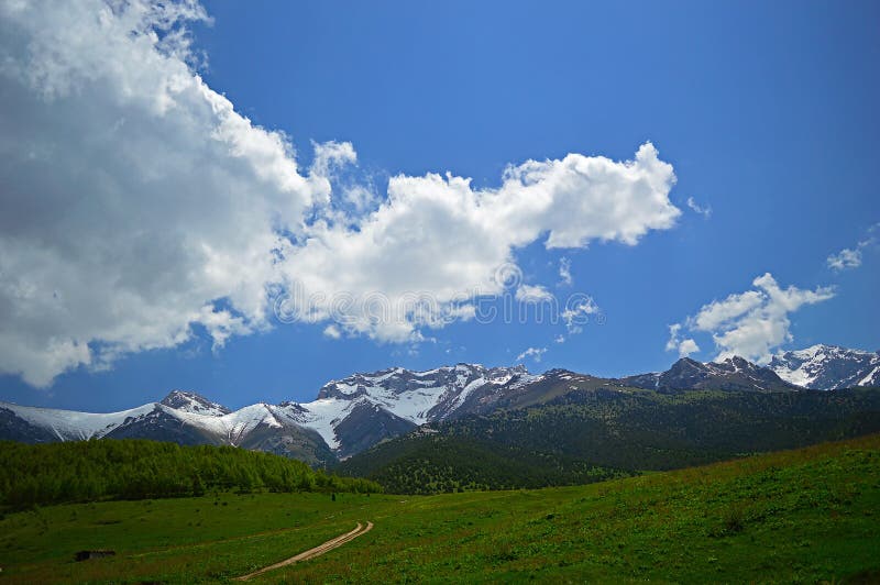 Green Meadow With Snowy Mountains On Background Stock Image Image Of