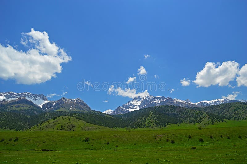 Green Meadow With Mountains In Background Stock Photo Image Of