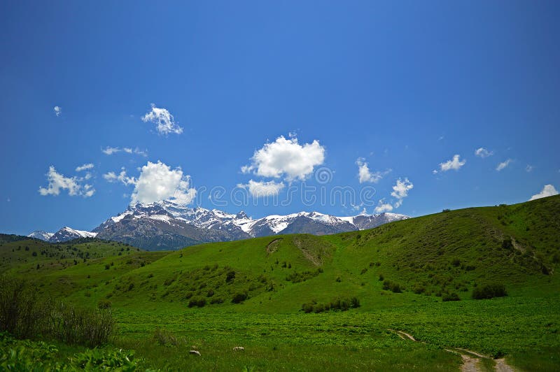 Green Meadow With Snowy Mountains On Background Stock Photo Image Of