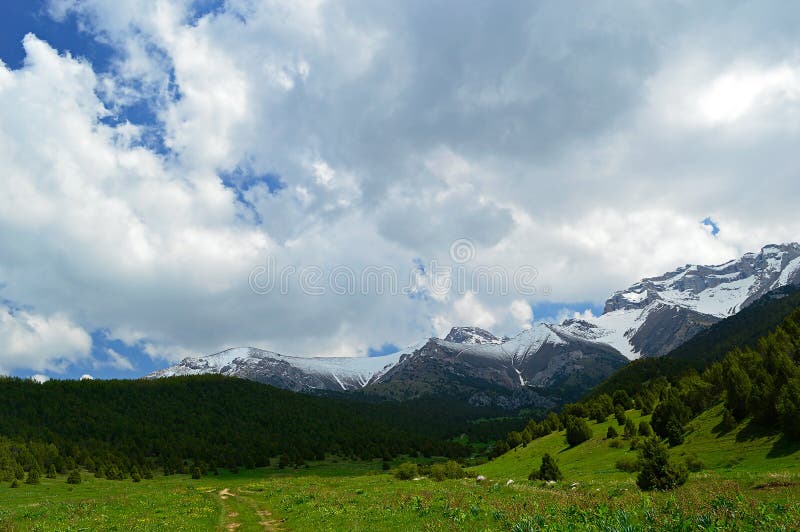 Green Meadow With Snowy Mountains On Background Stock Image Image Of