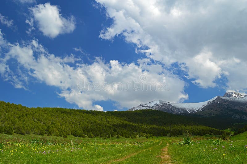 Green Meadow With Snowy Mountains On Background Stock Photo Image Of