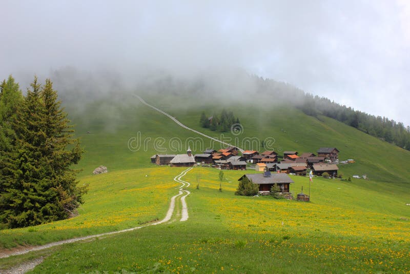 Green meadow and village Obermutten on a foggy summer day