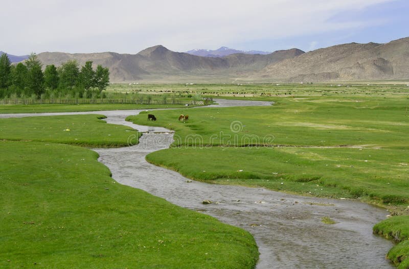 Green meadows stock photo. Image of grass, pasture, meadow 15341324