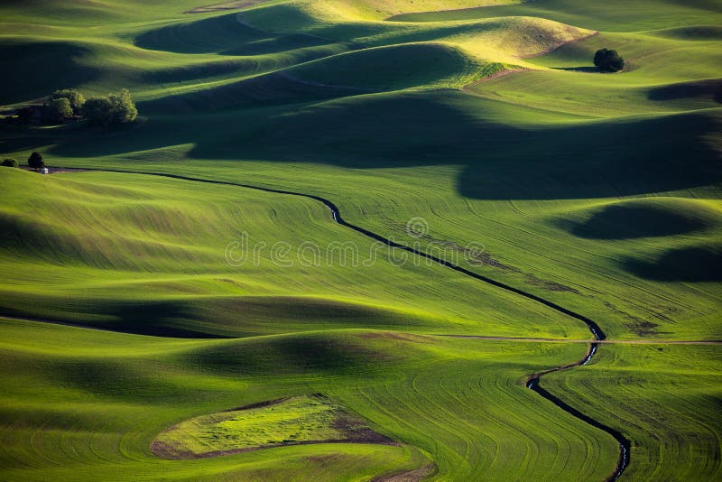 Panoramico da verde prati,, Stati Uniti d'America.