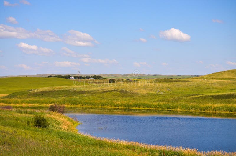 Green meadows stock image. Image of green, blue, meadows 51499243