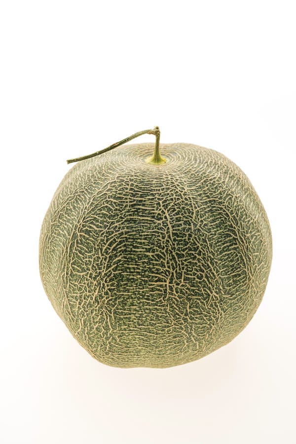 Green melon fruit stock photo. Image of healthy, juicy 81533618