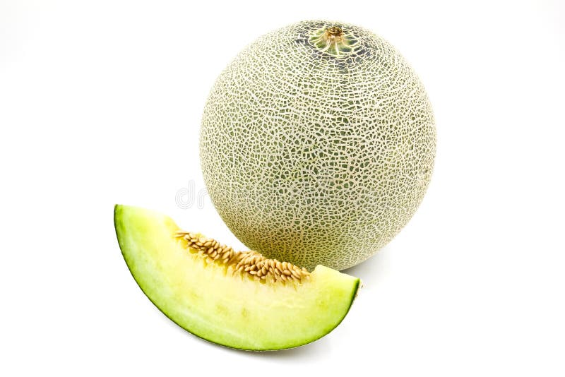 Green Melon stock photo. Image of isolated, tropical 63484388
