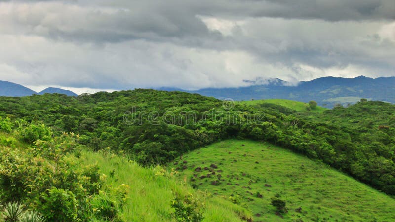 Verdi pascoli in stato di Vera Cruz dopo la pioggia.