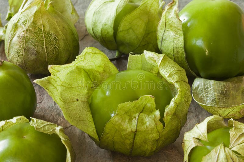 Green Mexican Tomatoes with Peel Stock Image Image of peppers, tacos